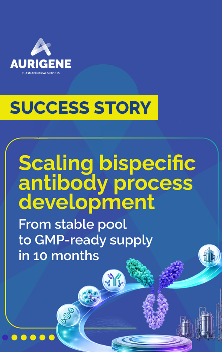 Scaling Bispecific Process Development